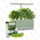 AeroGarden Harvest Slim | $80 | Macy’s